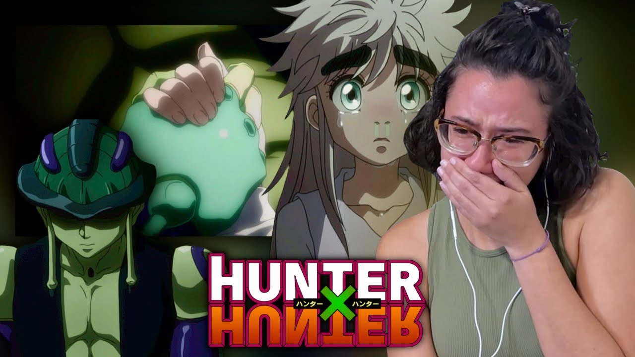 UhhhHunter X Hunter has just been removed from Netflix : r/ HunterXHunter