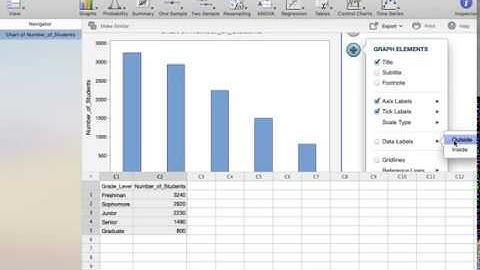 Minitab Express: Creating a Bar Chart
