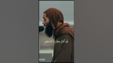 سورة النجم ابو تيمية رواية خلف عن حمزة