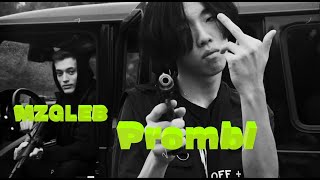 Prombl feat. MZGLEB - Walk