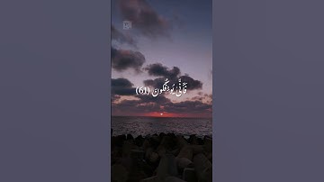 الشيخ محمد صديق المنشاوي   سوره الزمر