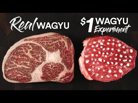 The $1 WAGYU STEAK Experiment | Guga Foods