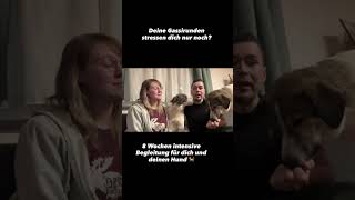 8 Wochen online Training mit mir. Jeder der immer noch stressige Spaziergänge kann das ändern 😊🐕