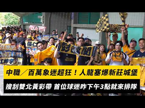 中職／百萬象迷超狂！人龍塞爆新莊城堡 搜刮雙北黃色彩帶 首位球迷昨下午3點就來排隊｜NOWNEWS