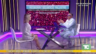 Erbe medicali: stanchi o deboli? Redberry selvaggio, la forza e l'energia a qualsiasi età