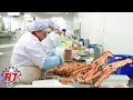 Proses penangkapan lobster norwegia dan proses pengemasan seafood modern