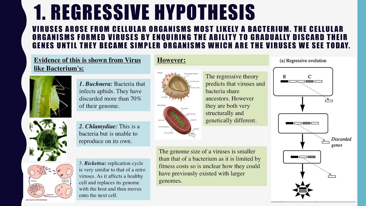 hypothesis for the origin of viruses