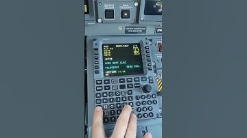 Flight Management ✈️ #shorts