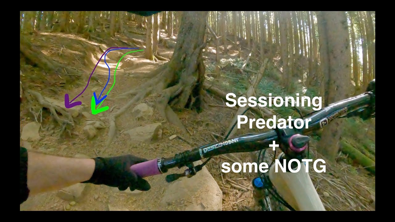Notg Tiger Mountain MTB - Sessioning sections of Predator (+ bonus NOTG ...