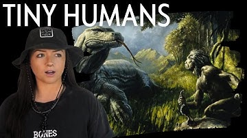 Homo floresiensis: The Ancient Hobbit People | Lindsay Nikole