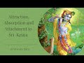 Attraction absorption  attachment to r ka  bhakti sanga  amarendra dsa
