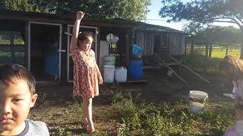 coj me nyuam mus pub qaib