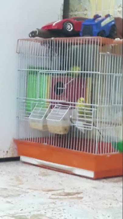 ١٦ أكتوبر ٢٠٢١