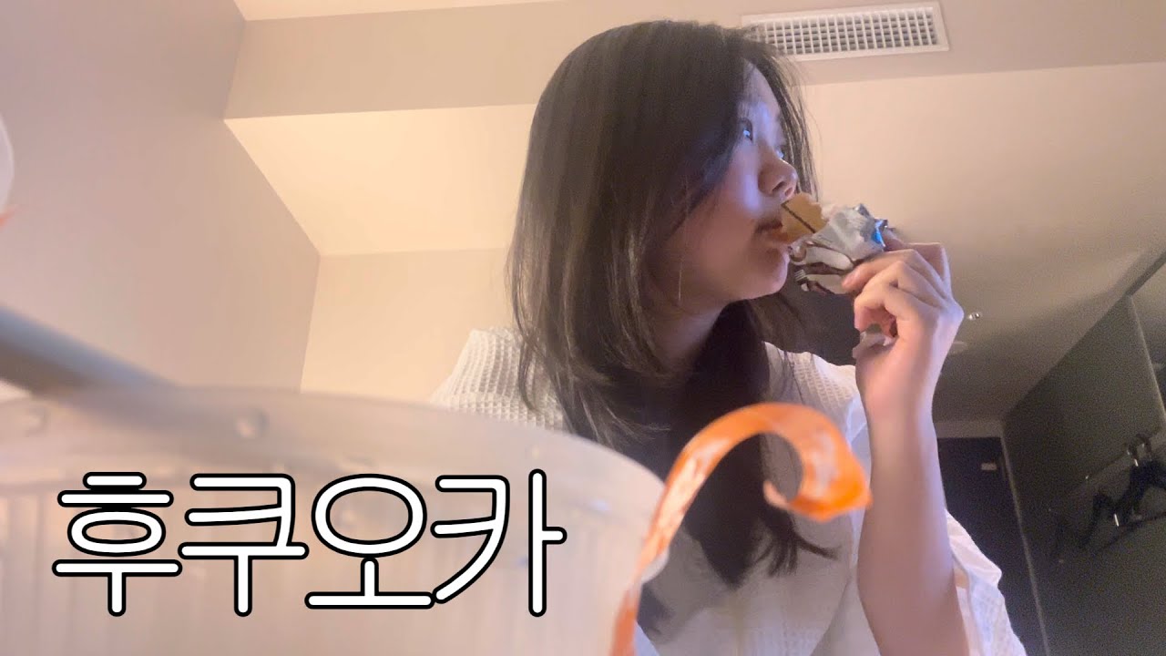 17살 일본 브이로그