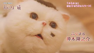 「おじさまと猫」60秒PR／吉澤嘉代子バージョン