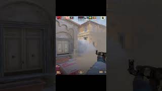 Ratting Smoke in CS2