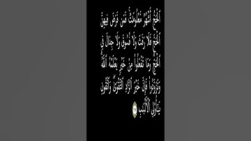 { الحج أشهر معلومات .... } سورة البقرة 197