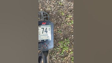 Live digging with the MANTICORE #learning the process #check it out #metaldetecting #manticore