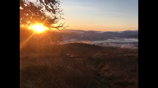 Pisgah Morning Memory Moment