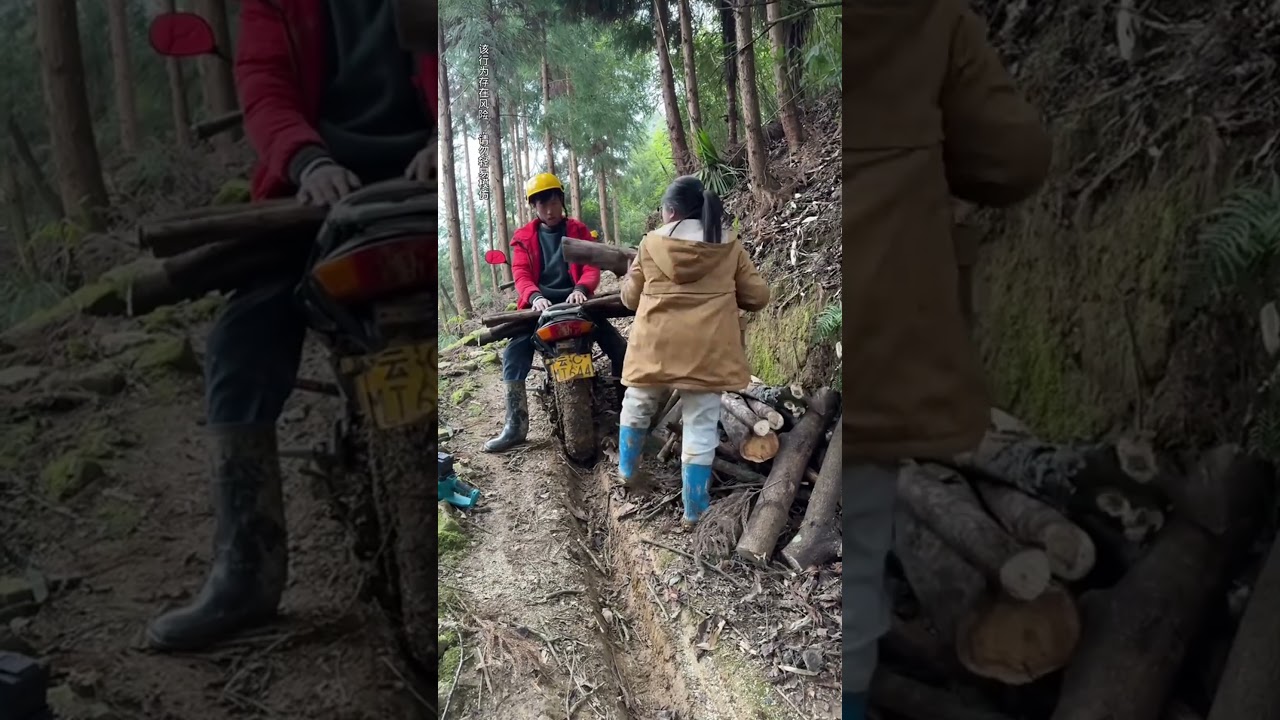 Helping A Woman On The Roadside Carry Firewood 
