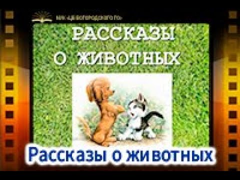 Рассказы о животных