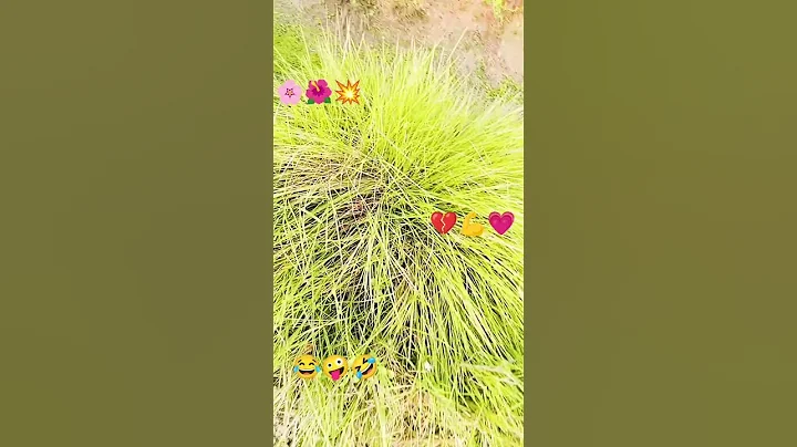 #hindisong #love #song #music #bollywood #dance #bhojpurisong #bhojpuri #bollywoodsongs #sad