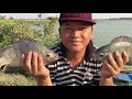 TOP20 Videos-Ever awesome colorful lucky day,  colorful Molly Fish at ​water mimosa lake with basket