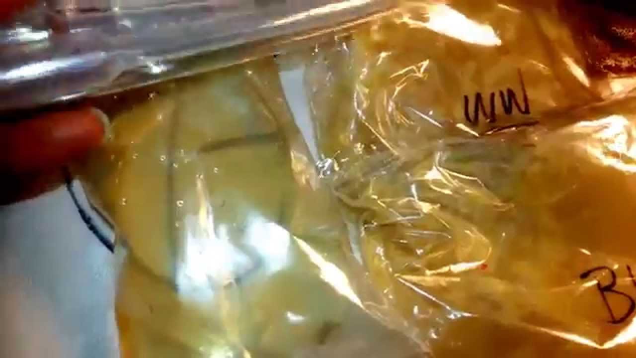microsoft store Aquabid Adventures: Live food cultures
