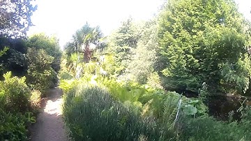 Bedreigd paradijs   VU Hortus