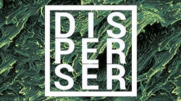 AAX-176 : Disperser - Disperser [vinyl promo]