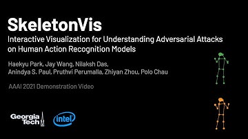 SkeletonVis - Visualization for Understanding Adversarial Attacks on Human Action Recognition Models