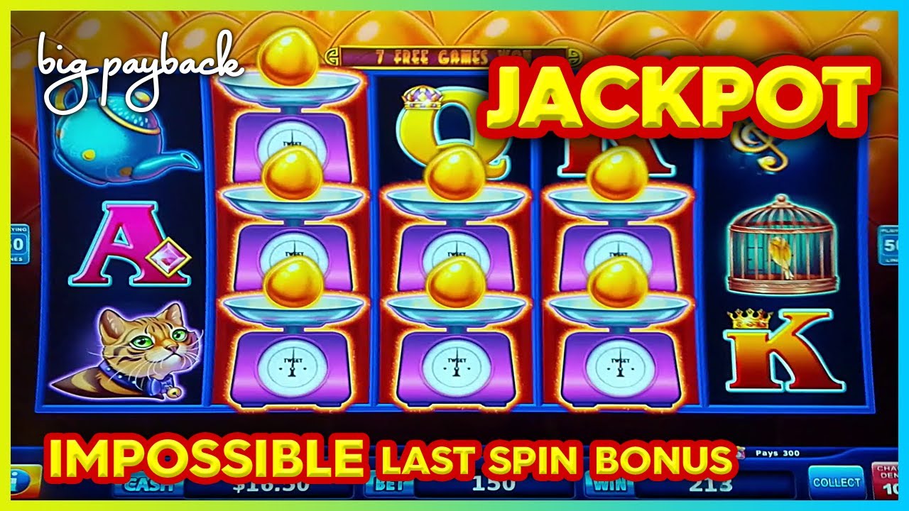 Last. Spin. JACKPOT!! WHAT?!! Sweet Tweet - UNBELIEVABLE!