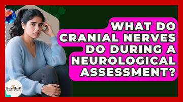 What Do Cranial Nerves Do During A Neurological Assessment? - Brain Health Support Network