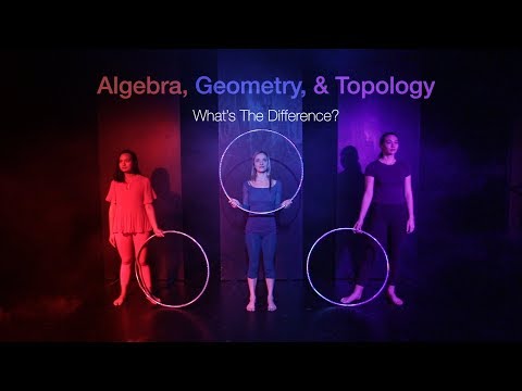 Algebra, Geometry, and Topology: What&rsquo;s The Difference?