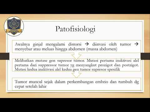 Video: Perubahan Komposisi Mikrobiota Usus Pada Kanak-kanak Dengan Sindrom Nefrotik Primer Selepas Terapi Awal