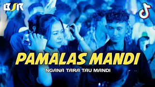 PAMALAS MANDI - LAGU JOGET TERBARU -_Papa Adung_- REMIX