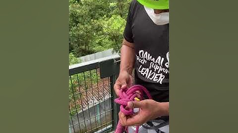 Set Up a Fix Abseil System