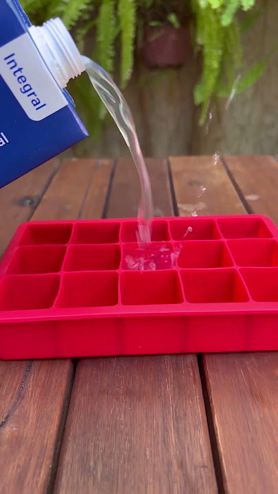 Truque pra turbinar o sabor de drinks, sucos e batidas. Fazer gelo com água de coco integral Sococo.