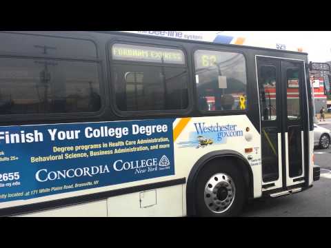 Bee-Line Bus: Fordham