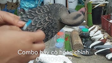 Cò, vạc, diệc, vịt trời, còng cọc, cò mã, cò bợ, keo cò, nan tre, nan cáp quang, sâm cầm.