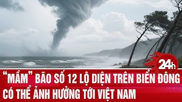 ”Mầm” bão số 12 lộ diện trên Biển Đông, có thể ảnh hưởng tới Việt Nam