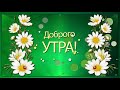 ✅Доброго утра! Отличного дня!✅