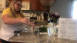 Celebrity Carnation with colored water experiment Profile