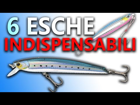 PESCA a SPINNING
