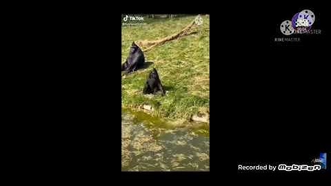 everything has fallen into the stomach (characters and items) add round 2