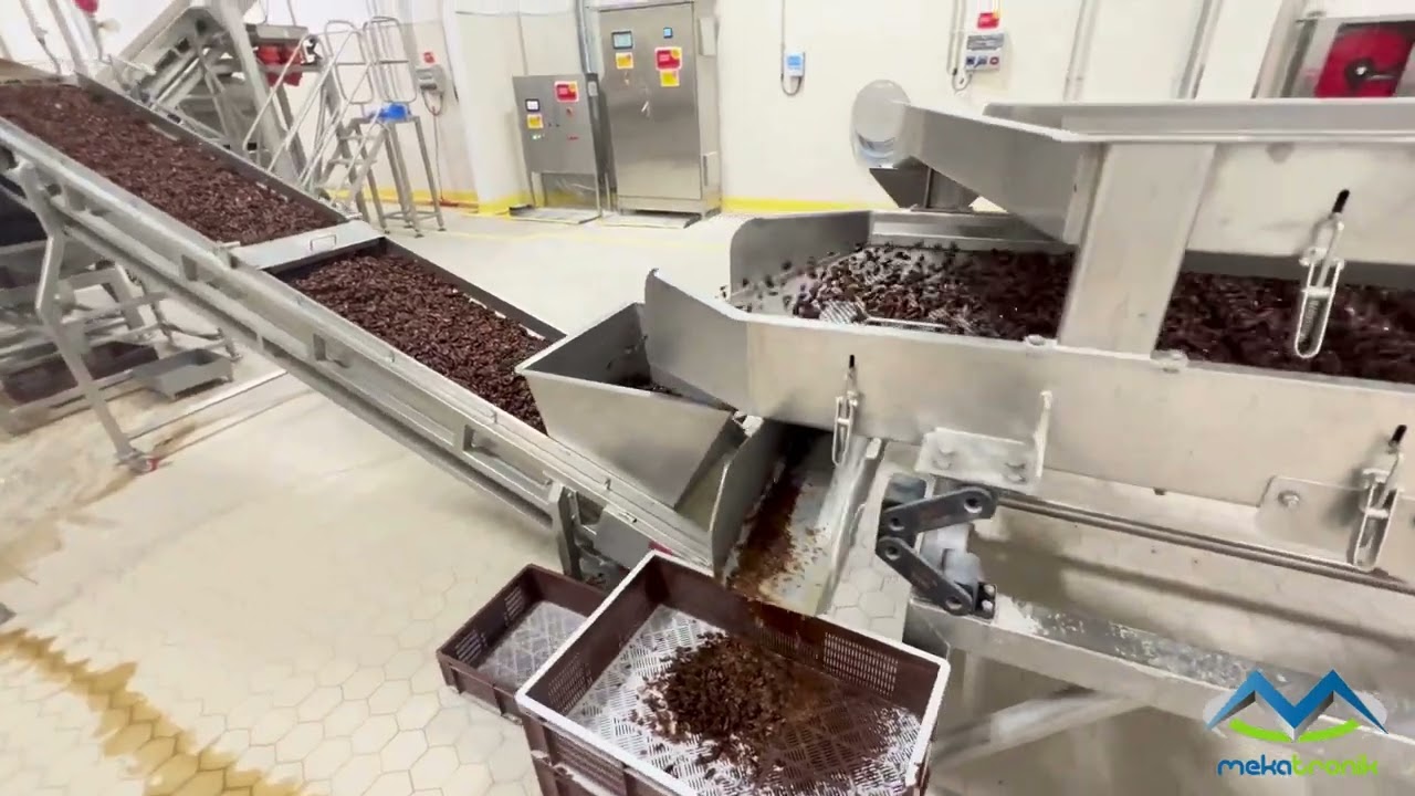 Date de-clumping, hair-burning (surface cleaning), and pitting line