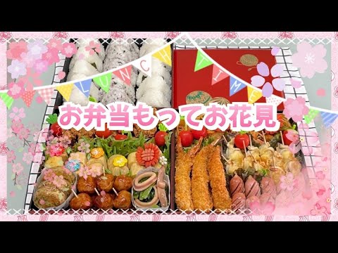 【お花見お弁当】桜の季節がやってきた🌸お弁当もってお花見行くか⁉️