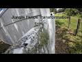 From Jungle to Sparkling White! Extreme Vinyl Fence Cleaning | Parrish, FL