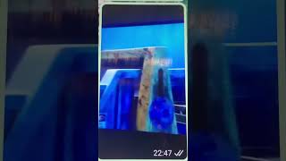 La máquina de Monsters, Inc. Gif