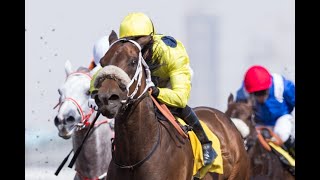 Vidéo de la course PMU PRIX DERRINSTOWN STUD